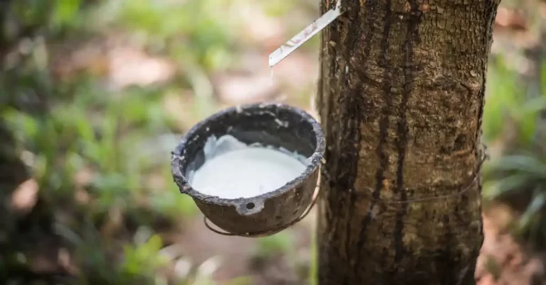 is natural rubber latex USAMED Medical Distributors