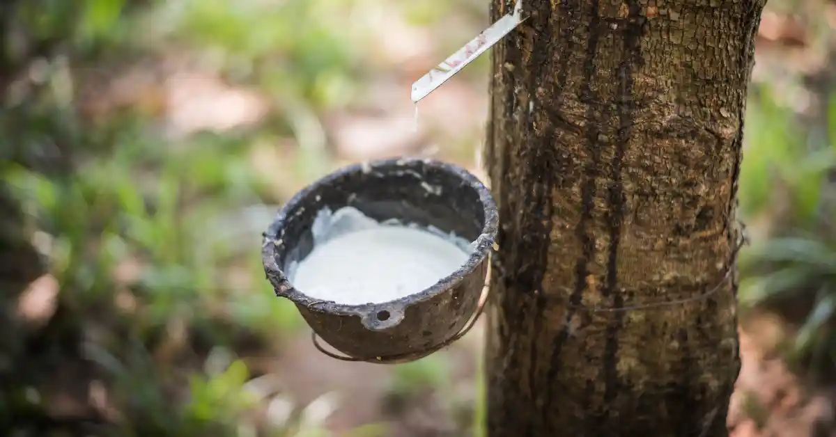 is natural rubber latex USAMED Medical Distributors