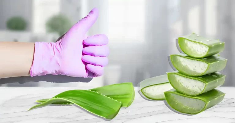 aloe gloves - USAMED Medical Distributors