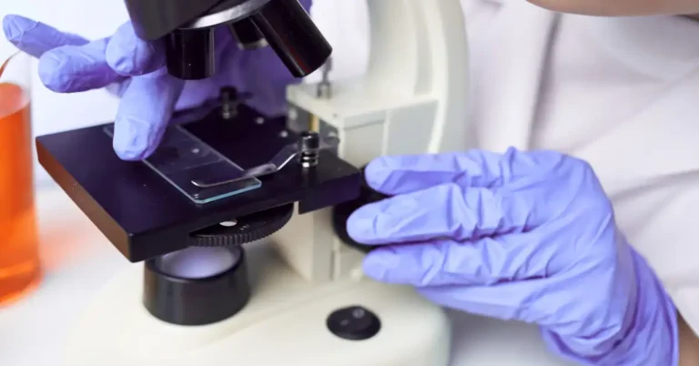 nitrile gloves for labs - USAMED Medical Distributors